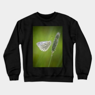 Green-veined White Butterfly on Grass Stalk Crewneck Sweatshirt